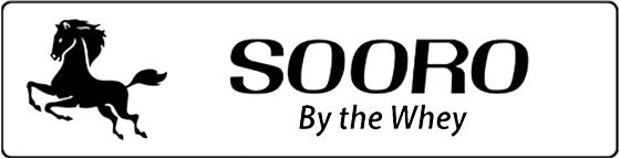 Sooro Logo Sooro